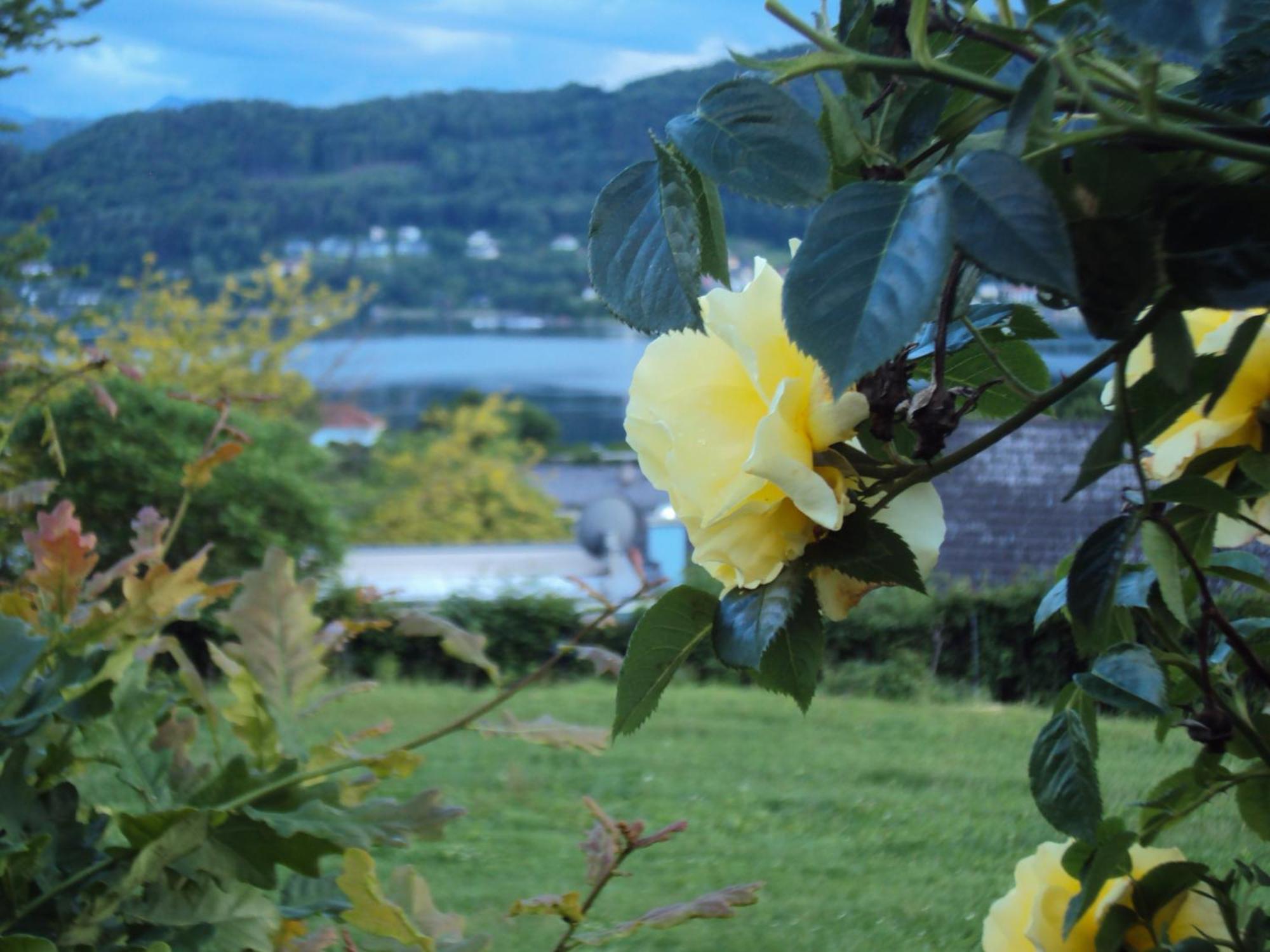 St. Oswalderhof Bed & Breakfast Portschach am Woerthersee Exterior photo