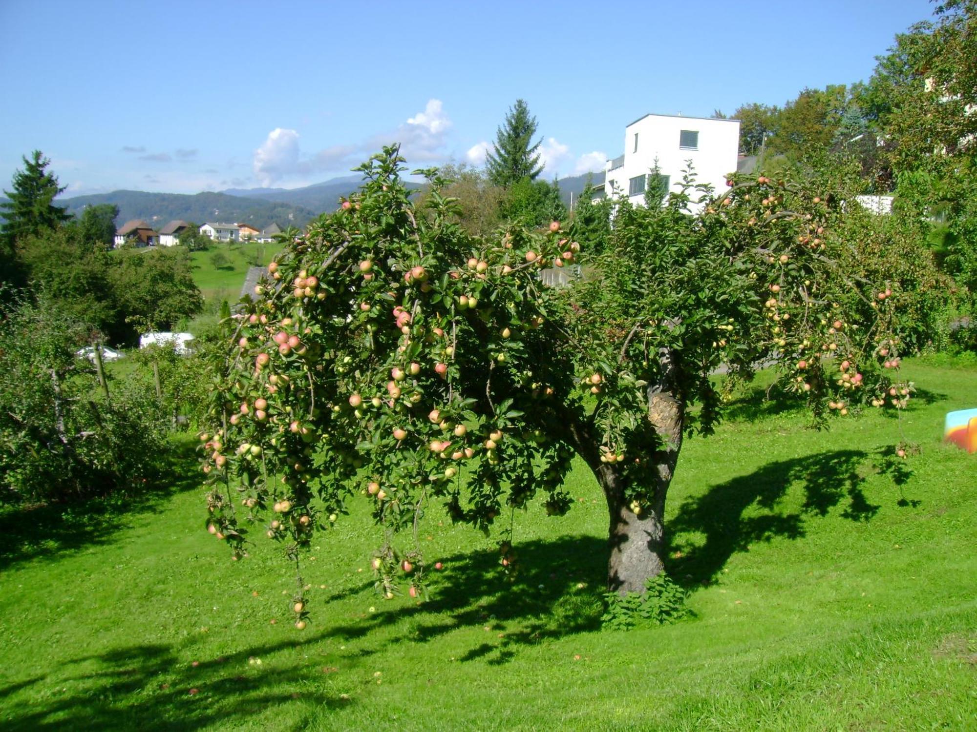 St. Oswalderhof Bed & Breakfast Portschach am Woerthersee Exterior photo