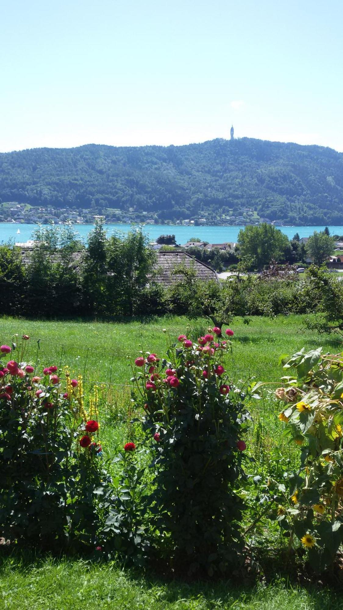 St. Oswalderhof Bed & Breakfast Portschach am Woerthersee Exterior photo